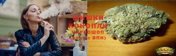 ПСИЛОЦИБИНОВЫЕ ГРИБЫ Белокуриха