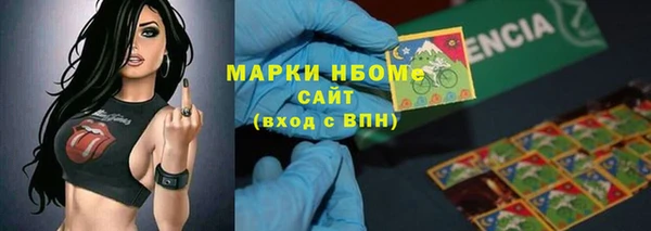 мдпв Богородицк