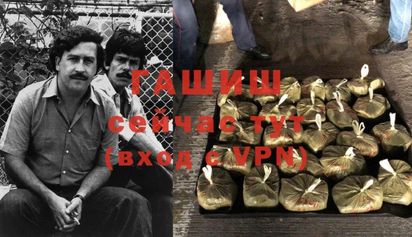 ПСИЛОЦИБИНОВЫЕ ГРИБЫ Белокуриха