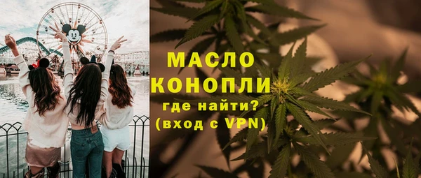 мдпв Богородицк