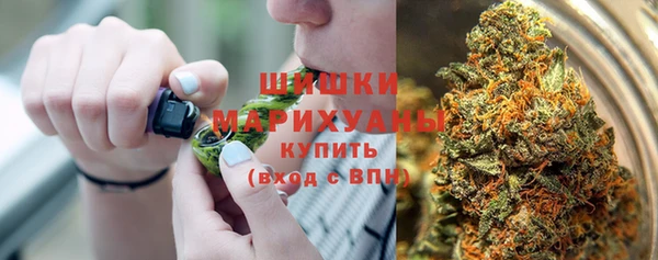 ПСИЛОЦИБИНОВЫЕ ГРИБЫ Белокуриха