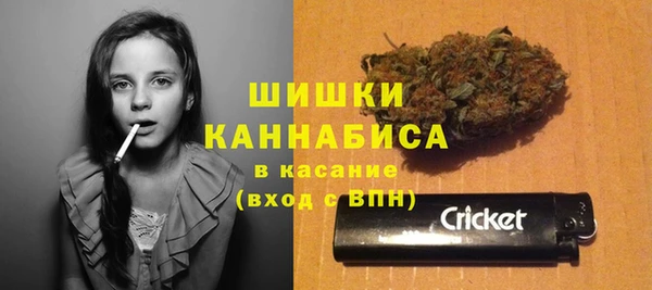 мдпв Богородицк