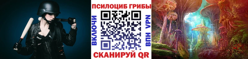 Купить закладки  Нурлат  Галлюциногенные грибы Cubensis 